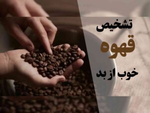 ویژگی قهوه خوب، تشخیص قهوه خوب از بد