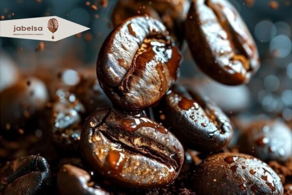 شناخت انواع قهوه