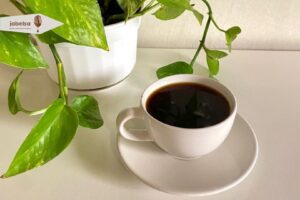 اثرات قهوه برای رشد گیاهان