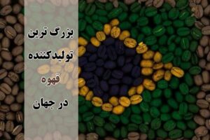 بزرگ ترین تولیدکننده قهوه