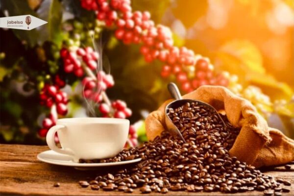 درخت و گیلاس قهوه