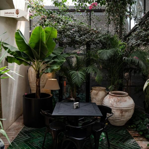 بهترین کافی شاپ های مشهد