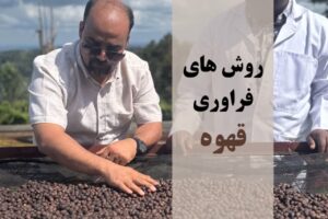روش های فراوری قهوه