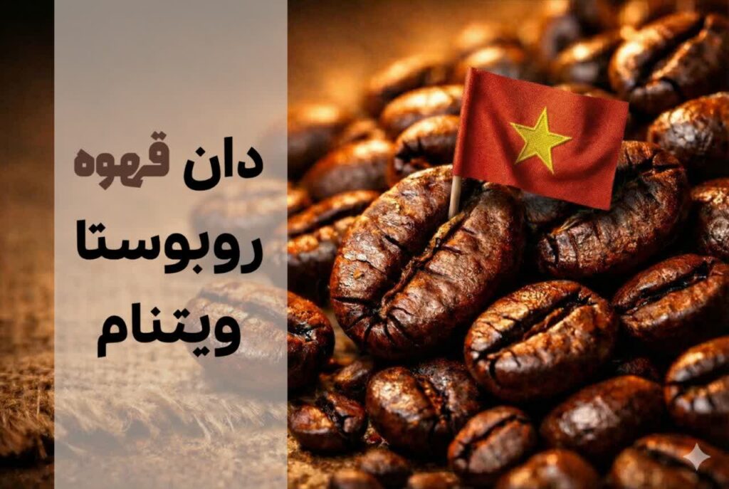 دان قهوه روبوستا ویتنام