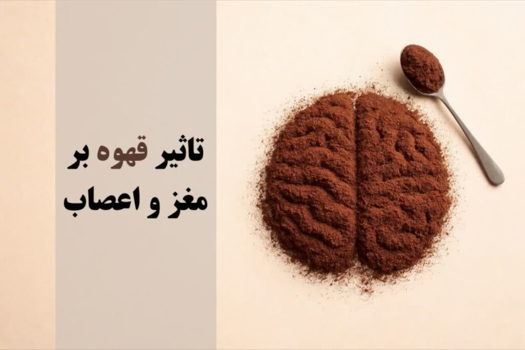 تاثیر قهوه بر مغز و اعصاب
