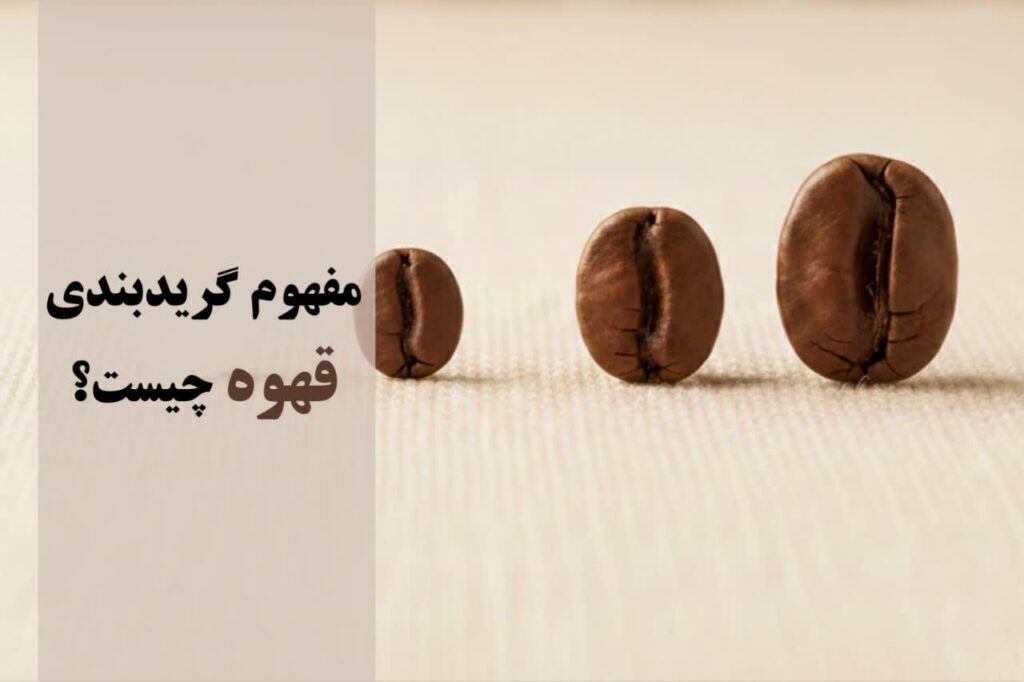 مفهوم گریدبندی قهوه چیست