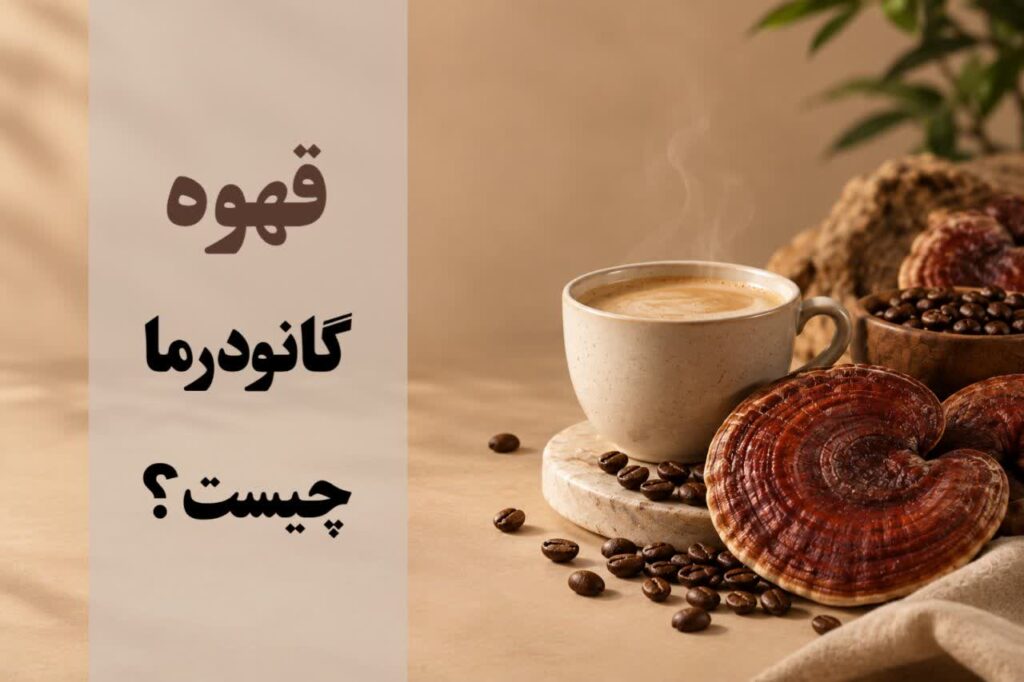 قهوه گانودرما چیست